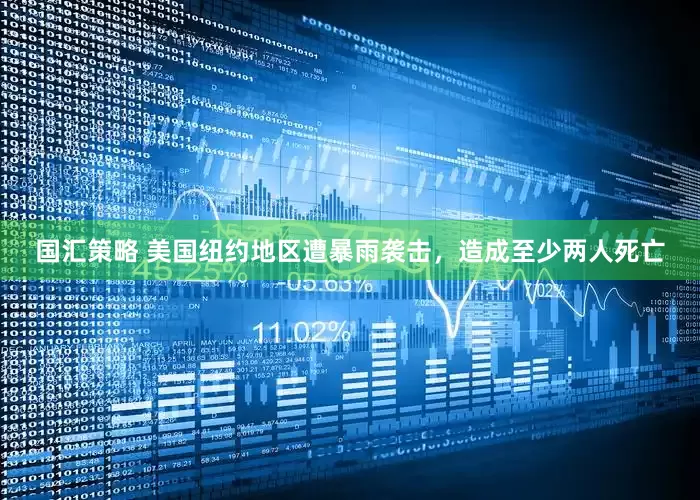 国汇策略 美国纽约地区遭暴雨袭击，造成至少两人死亡