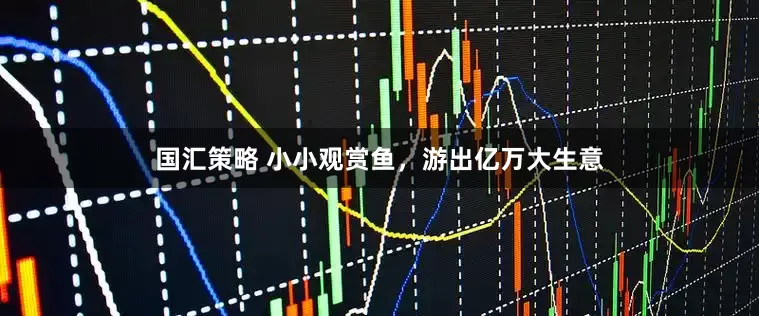 国汇策略 小小观赏鱼，游出亿万大生意