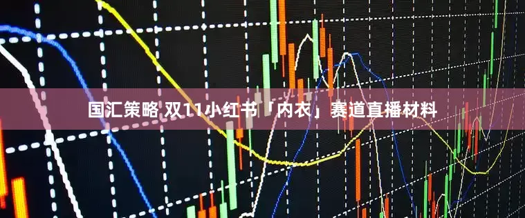 国汇策略 双11小红书「内衣」赛道直播材料
